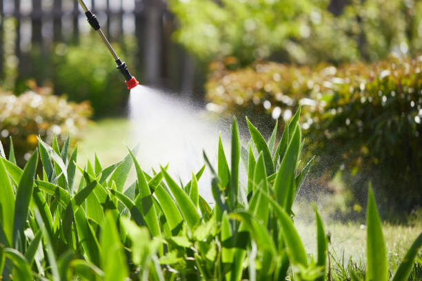 24/7 Emergency Mosquito Control experts in Veneta, OR
